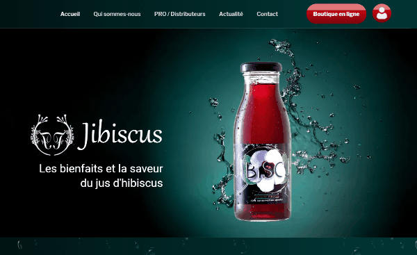 capture d'écran du site jibiscus.fr